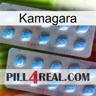 Kamagara viagra4